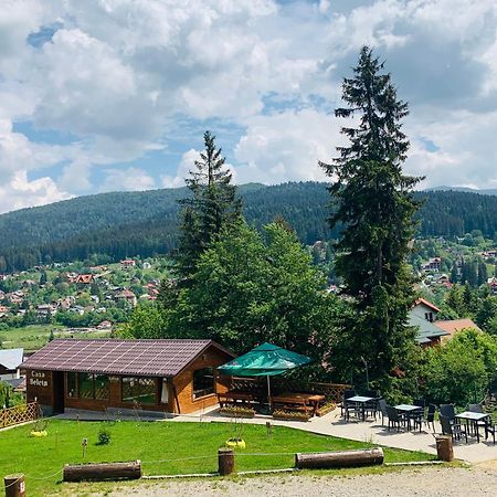 Casa Belcin Spa&Retreat Буштени Экстерьер фото